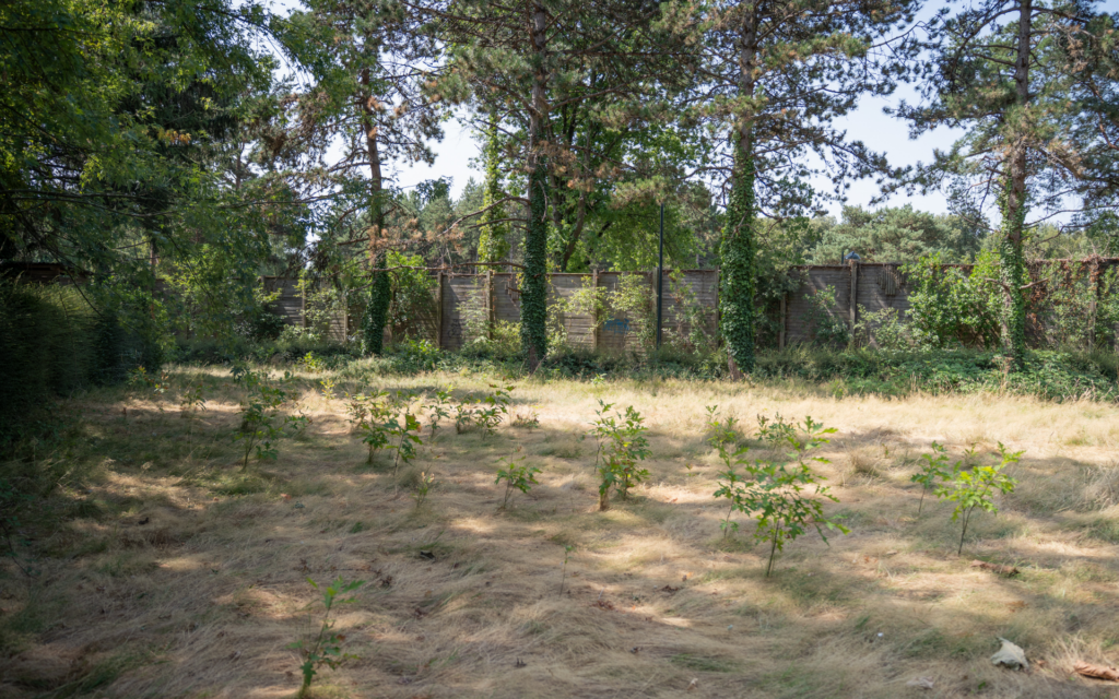 photo sophaam coliving rennes – 26